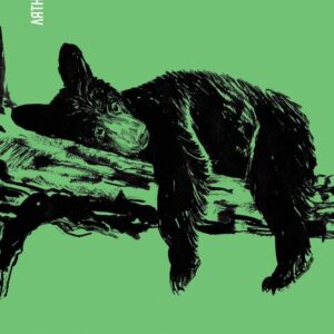 Лакомото мече – Емилиян Станев