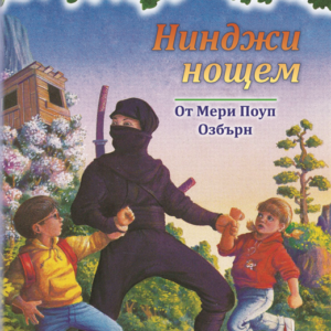 Нинджи нощем